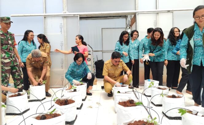 
					Pemkab Torut Tingkatkan Produksi Pertanian Melalui Smart Screen House