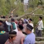 Insiden Pohon Tumbang saat Sholat Idul Fitri, 3 Orang Tewas 16 Korban Lainnya Luka IMG-20250401-WA0005