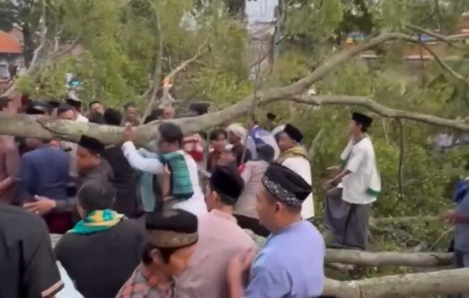 
					Insiden pohon tumbang timpa jemaah saat akan melakukan sholat Idul Fitri pada Senin (31/3/2025) di Pemalang, Jawa Tengah. Foto: Istimewa