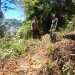 IMG-20250414-WA0054(1)