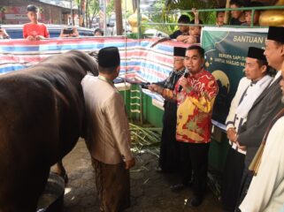 Bupati Tana Toraja, Zadrak Tombeg serahkan Sapi Kurban dari Presiden Prabowo Subianto pada Jumat (6/6/2025). Foto: Istimewa