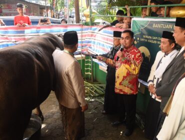 Bupati Tana Toraja, Zadrak Tombeg serahkan Sapi Kurban dari Presiden Prabowo Subianto pada Jumat (6/6/2025). Foto: Istimewa