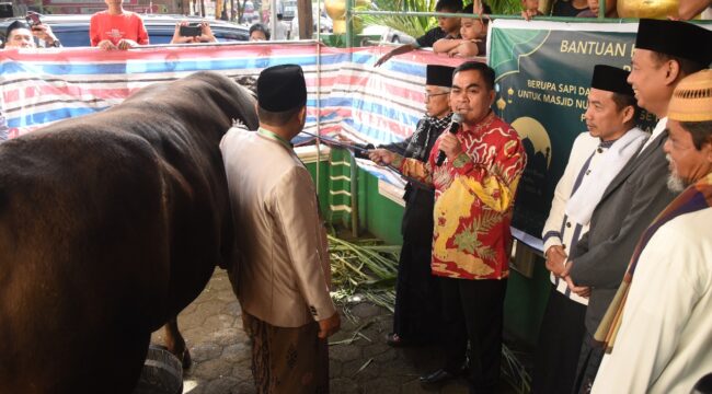 Bupati Tana Toraja, Zadrak Tombeg serahkan Sapi Kurban dari Presiden Prabowo Subianto pada Jumat (6/6/2025). Foto: Istimewa