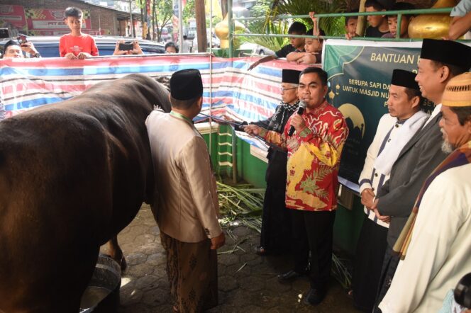 
					Bupati Tana Toraja, Zadrak Tombeg serahkan Sapi Kurban dari Presiden Prabowo Subianto pada Jumat (6/6/2025). Foto: Istimewa