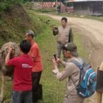 IMG-20250711-WA0092