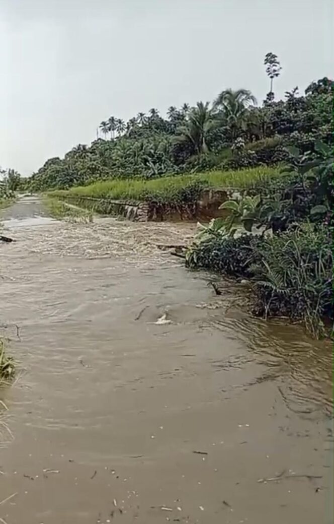 
					Curah Hujan Tinggi, Akses 4 Desa dan 3 Kawasan Transmigrasi di Maba Utara Lumpuh Total