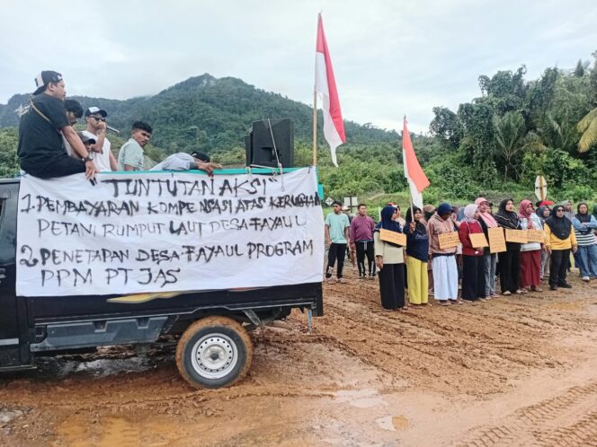 
					Aliansi Masyarakat Budidaya Rumput Laut Desa Fayaul Desak KKP dan ESDM Blokade Jety PT JAS hingga Laut Fayaul di Pulihkan