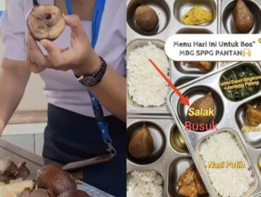 Viral Menu MBG, buah yang disajikan SPPG Pantan di Tana Toraja, busuk dan berulat. Foto: Istimewa