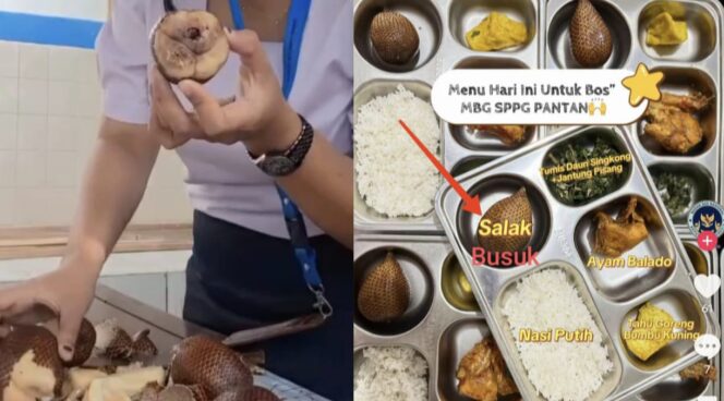 
					Viral Menu MBG, buah yang disajikan SPPG Pantan di Tana Toraja, busuk dan berulat. Foto: Istimewa