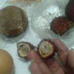 SPPG Tambunan Akui Lalai : Rambutan Busuk Ditemukan Dalam Menu MBG yang Disajikan di Tana Toraja IMG-20260227-WA0057