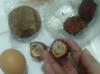 Viral Rambutan busuk ditemukan di Menu MBG yang disajikan SPPG Tambunan. Foto: Istimewa
