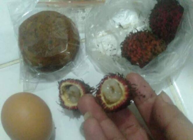 
					Viral Rambutan busuk ditemukan di Menu MBG yang disajikan SPPG Tambunan. Foto: Istimewa