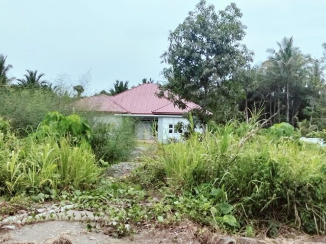 
					Gedung Dharma Wanita Haltim Rampung Dibangun, Kini Terbengkalai dan Tak Terurus
