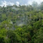 Satu Keluarga di Dusun Lakoda Kecamatan Maba Selatan Nyaris Menjadi Korban Penyerangan OTK IMG-20260304-WA0047
