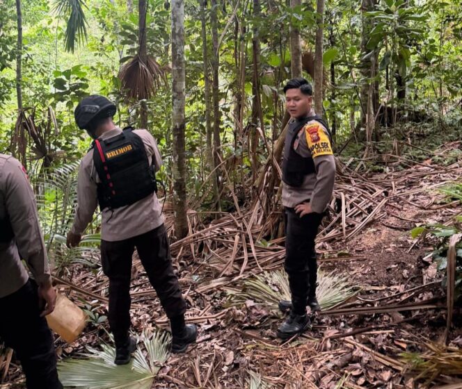
					Polsek Maba Selatan Bergerak Cepat Menyikapi Dugaan Muncul OTK di Dusun Lakoda
