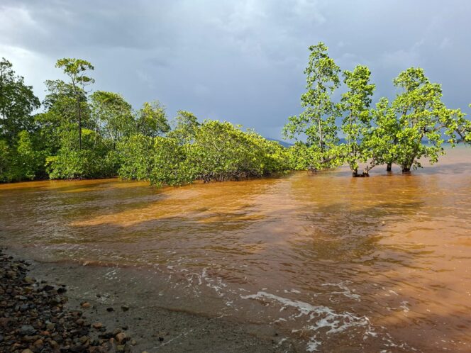 
					Ketua PKC PMII Malut Minta Dinas Pertanahan dan Lingkungan Hidup Halmahera Timur Harus Awasi Lingkungan di Wilayah Pesisir Pantai Areal Moronopo