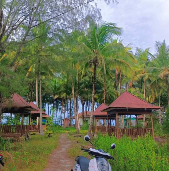 
					Wisata Tapalo di Desa Gotowasi Terlihat Rusak dan Tidak Terurus