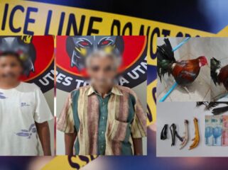 Pelaku judi sambung ayam di Bentar diamankan Polisi. Foto: Istimewa/Vressnews