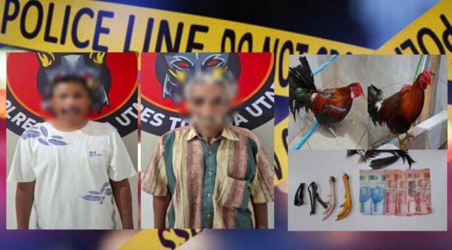 Pelaku judi sambung ayam di Bentar diamankan Polisi. Foto: Istimewa/Vressnews