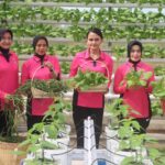 Panen Sayur dan Ikan Lele di P2L, Bhayangkari Cabang Toraja Utara Dukung Kemandirian Pangan IMG-20260410-WA0067