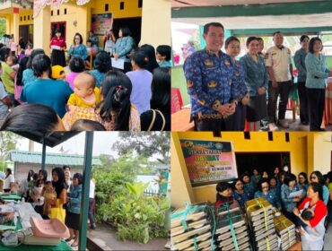Sosialisasi Posyandu Era Baru oleh Tim Penggerak PKK Toraja Utara. Foto: Istimewa