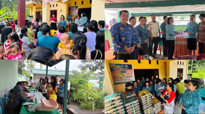 
					Sosialisasi Posyandu Era Baru oleh Tim Penggerak PKK Toraja Utara. Foto: Istimewa