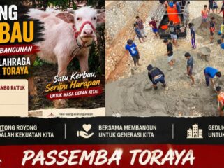 Kerbau Bonga Sambo Ra’tuk, berkelamin jantan dan berumur 8 bulan yang dilelang untuk Pembangunan Gedung Olahraga Passemba Toraya di Tana Toraja. Foto: Istimewa