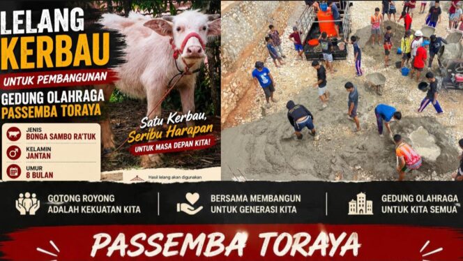 
					Kerbau Bonga Sambo Ra’tuk, berkelamin jantan dan berumur 8 bulan yang dilelang untuk Pembangunan Gedung Olahraga Passemba Toraya di Tana Toraja. Foto: Istimewa