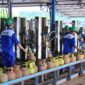 Pasokan LPG subsidi 3 Kg. Foto: Istimewa