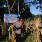 Jaga Ketahanan Pangan Nasional, Polres Toraja Utara Sukseskan Panen Raya Jagung Kuartal II Tahun 2026 Secara Virtual IMG-20260518-WA0018