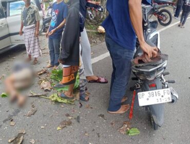 Warga Tana Toraja tertimpa pohon saat melintas di sudut kolam Makale pada Selasa (19/5/2026). Foto: Istimewa