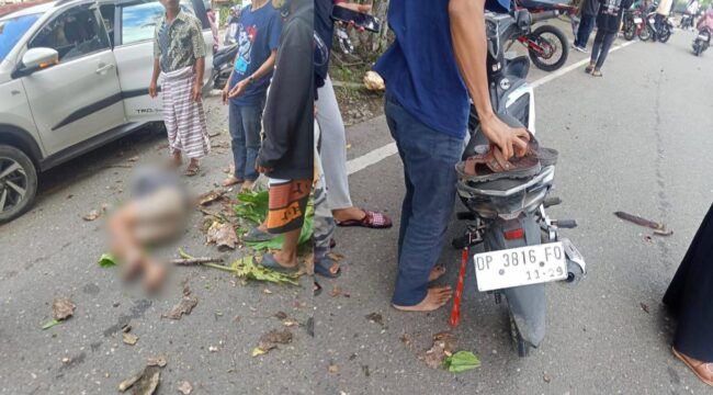Warga Tana Toraja tertimpa pohon saat melintas di sudut kolam Makale pada Selasa (19/5/2026). Foto: Istimewa
