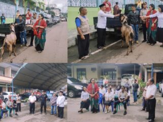 Keluarga Besar Bupati Toraja Utara serahkan Hewan Kurban, Selasa (26/5/2026). Foto: Istimewa