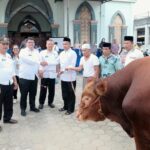 Pemda Toraja Utara Salurkan Bantuan Sapi Kurban dari Presiden Prabowo di Masjid Nurul Taqwa Bolu IMG-20260526-WA0488