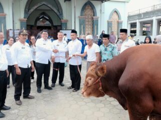 Pemda Toraja Utara salurkan Sapi Kurban Bantuan Kemasyarakatan Presiden Prabowo, Selasa (26/5/2026). Foto: Istimewa