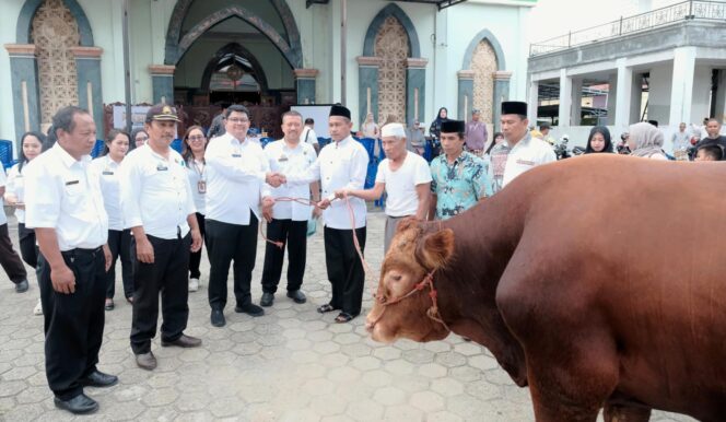
					Pemda Toraja Utara salurkan Sapi Kurban Bantuan Kemasyarakatan Presiden Prabowo, Selasa (26/5/2026). Foto: Istimewa
