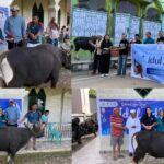 Eva Stevany Rataba Serahkan Bantuan Hewan Kurban di Toraja pada Idul Adha 1447 Hijriah IMG-20260527-WA0134(1)
