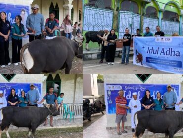 Anggota DPR RI Fraksi Partai NasDem, Eva Stevany Rataba menyerahkan bantuan hewan kurban di Toraja, Rabu (27/5/2026). Foto: Istimewa