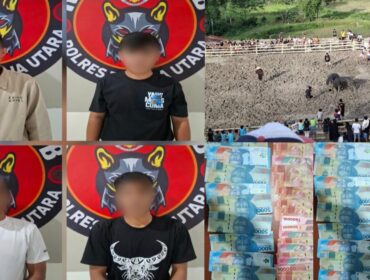 4 Pelaku tindak pidana perjudian dalam arena adu kerbau (Ma'Pasilaga Tedong) diamankan. Foto: Istimewa