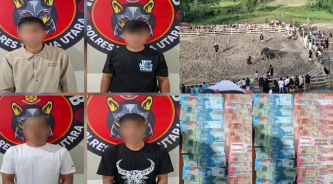 4 Pelaku tindak pidana perjudian dalam arena adu kerbau (Ma'Pasilaga Tedong) diamankan. Foto: Istimewa