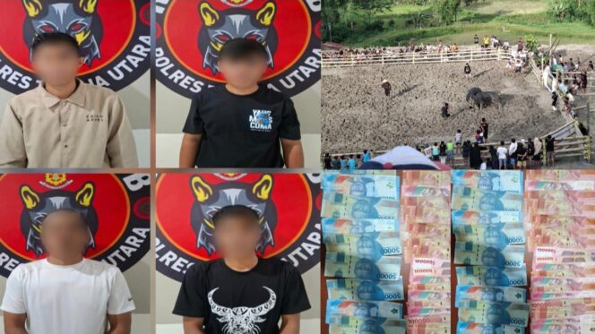 
					4 Pelaku tindak pidana perjudian dalam arena adu kerbau (Ma'Pasilaga Tedong) diamankan. Foto: Istimewa