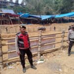 Polres Toraja Utara Kerahkan Puluhan Personel Amankan Kegiatan Tradisi Adat Adu Kerbau IMG-20261005-WA0195