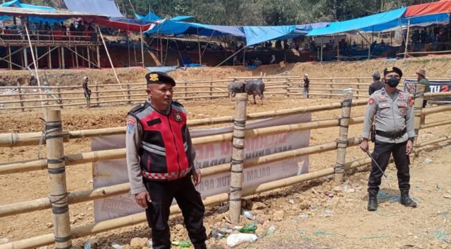Polres Toraja Utara amankan jalannya ritual adat Rambu Solo' di Tondon. Foto: Istimewa