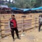 Polres Toraja Utara amankan jalannya ritual adat Rambu Solo' di Tondon. Foto: Istimewa